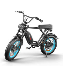 Inch Dual-drive High-speed Electric Bike