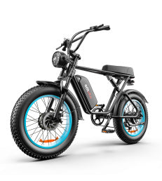 Inch Dual-drive High-speed Electric Bike