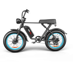 Inch Dual-drive High-speed Electric Bike