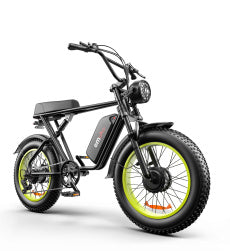 Inch Dual-drive High-speed Electric Bike