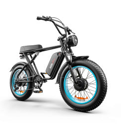 Inch Dual-drive High-speed Electric Bike