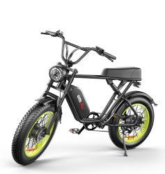 Inch Dual-drive High-speed Electric Bike