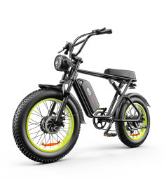 Inch Dual-drive High-speed Electric Bike